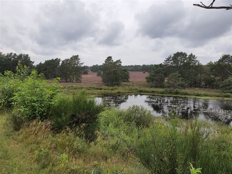 Vakantiegroeten uit Zonhoven
