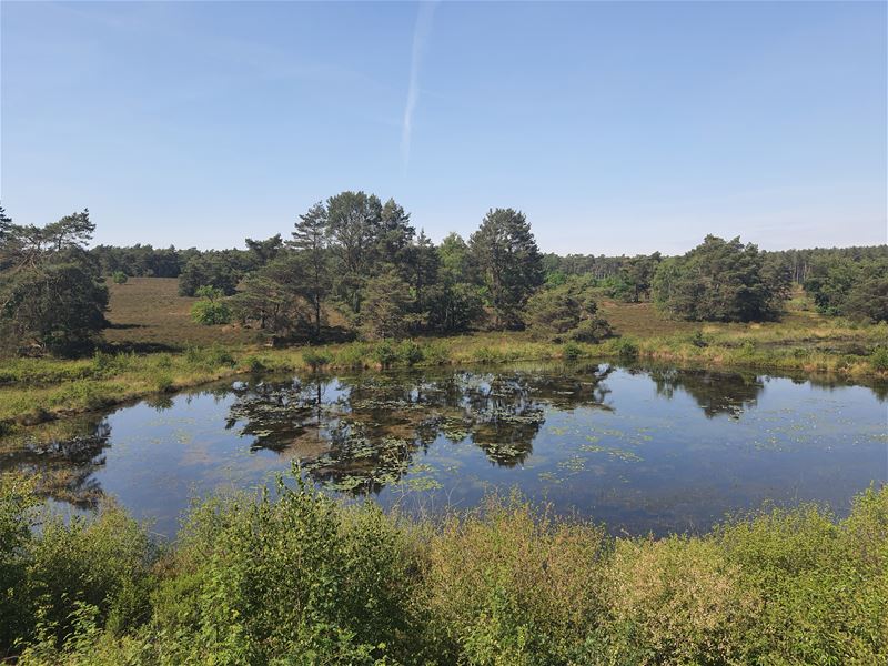 Vakantiegroeten uit Zonhoven