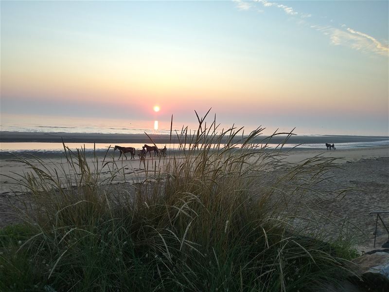 Vakantiegroeten vanop Omaha Beach
