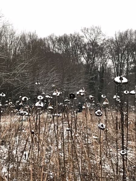 Van een tegenstelling gesproken ...