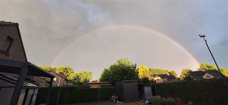 Vanavond gezien