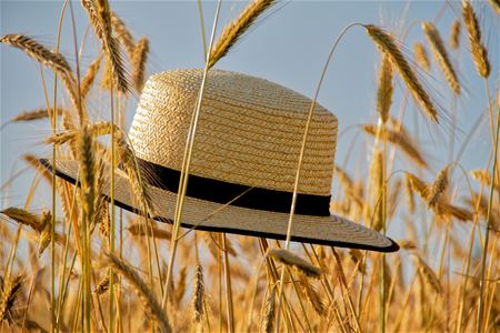 Vandaag begint de zomer