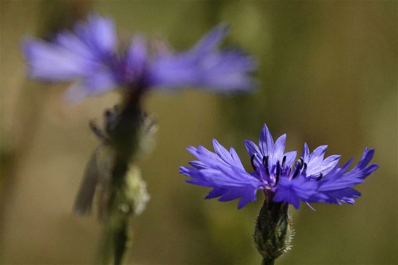 Vandaag begint de zomer