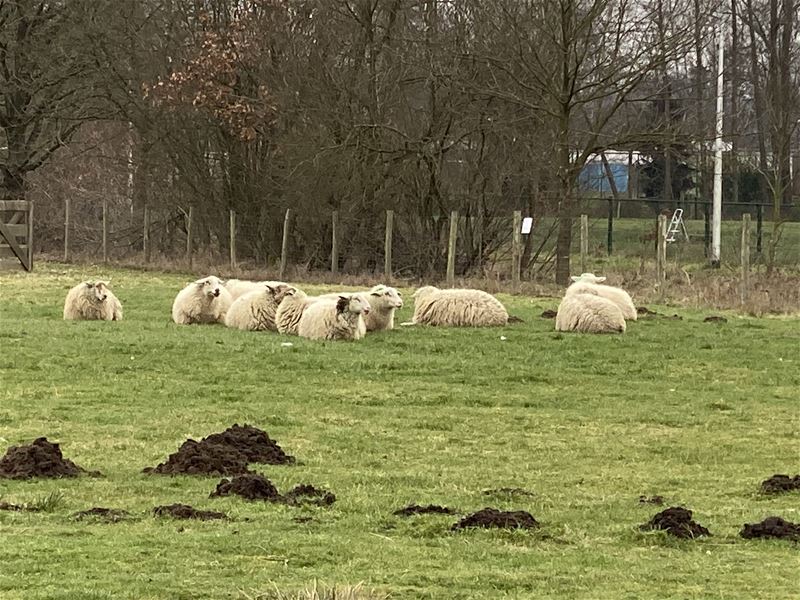 Vandaag gezien