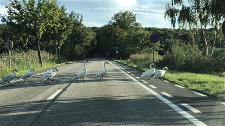 Vandaag gezien