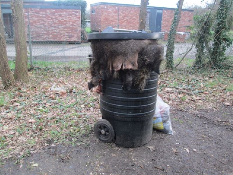 Vandaag gezien (en geroken)