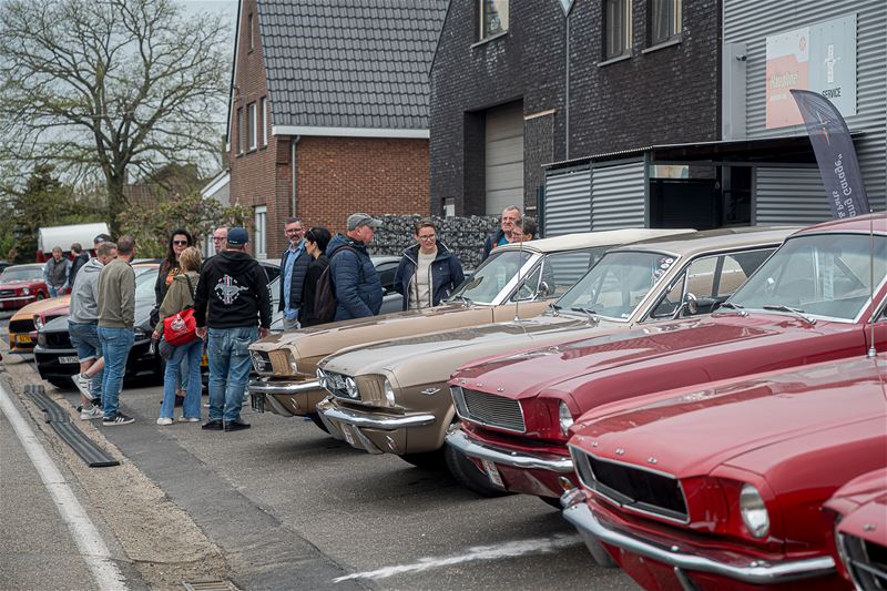 Mustang Fever start goed ondanks kwakkelweer