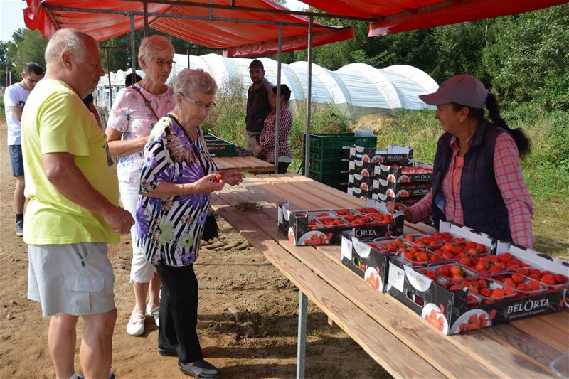 Veel interesse voor aardbei- en blauwbessenteelt