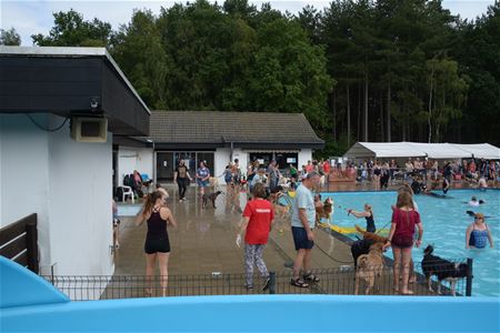 Veel organisaties aanwezig op hondenzwemmen