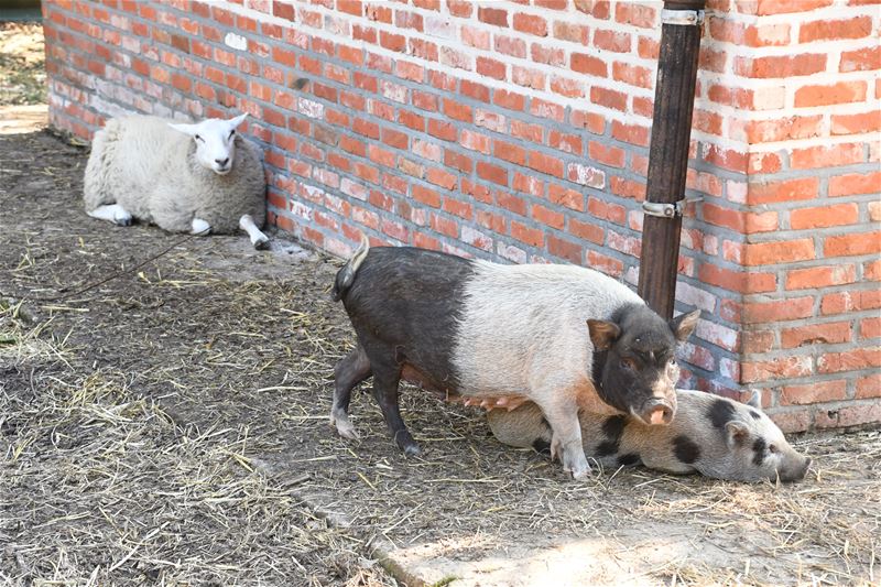 Veel volk op opendeur opvangcentrum