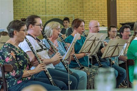 Verenigde Vrienden en Hoeverheidegalm in concert
