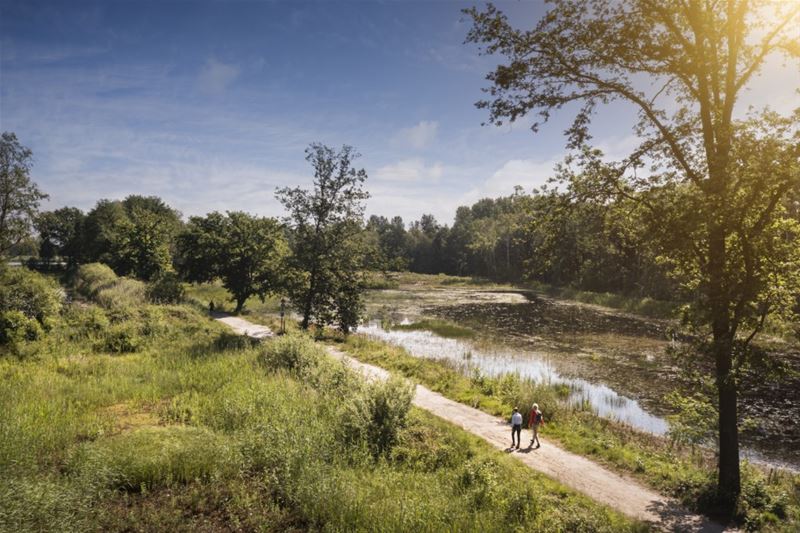Vijf dagen wandelen door heel het Wijersgebied