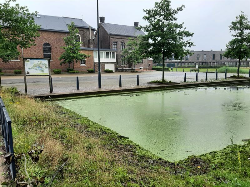 Viversel: beek loopt over, spaarbekken staat vol