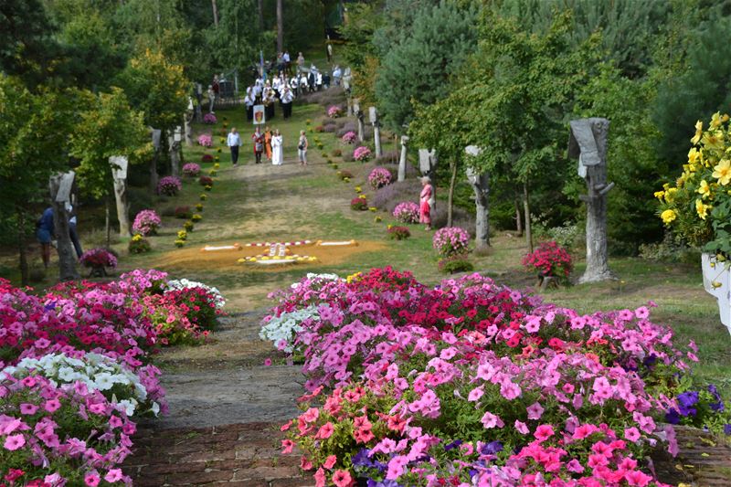 Viversel genoot weer van de Sacramentsprocessie