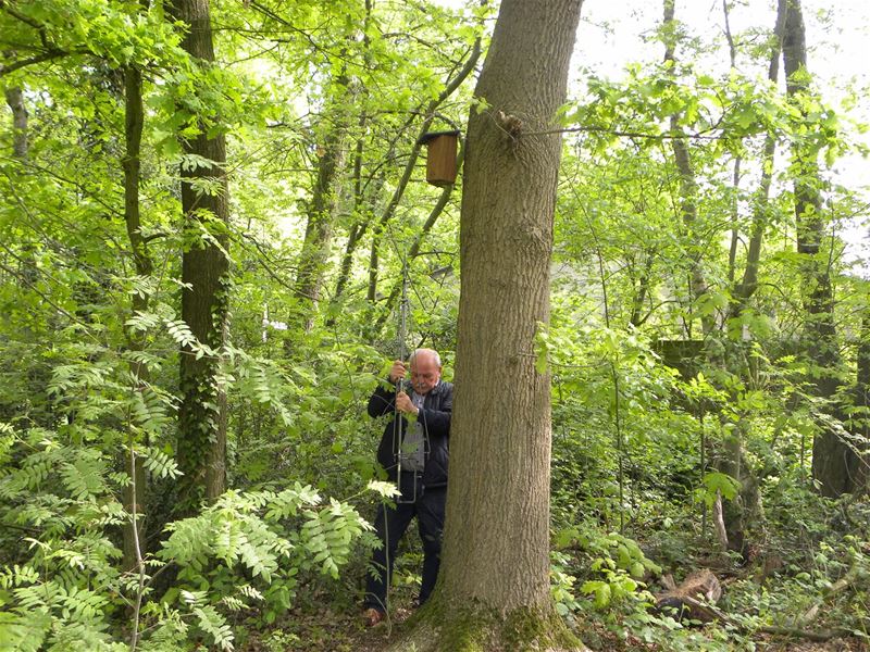 Vogelringwerkgroep Bokrijk blijft actief op Bovy