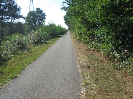 Volgend jaar aanpassingen op fietsroutenetwerk