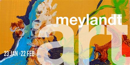 Volgende week opent nieuwe editie van MeylandtArt