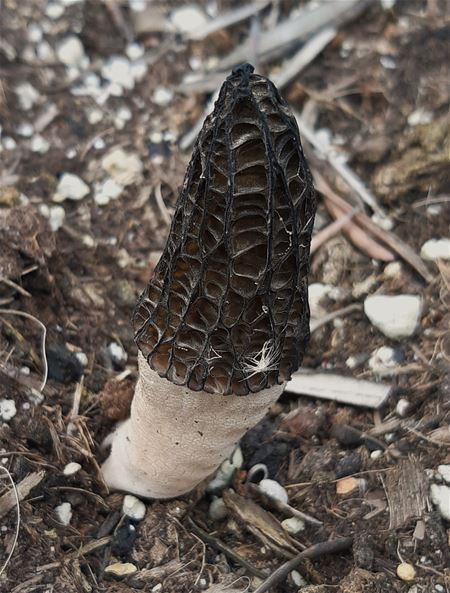 Voor wie verder kijkt dan zijn pint ...