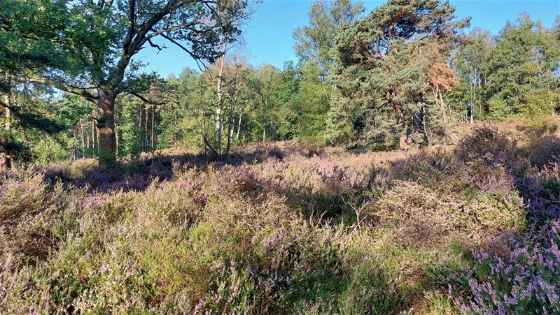 Voorbereiding van herfstwandeling is gestart