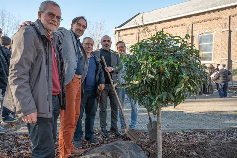 Vredesbomen bij beeld Franciscus zijn geplant