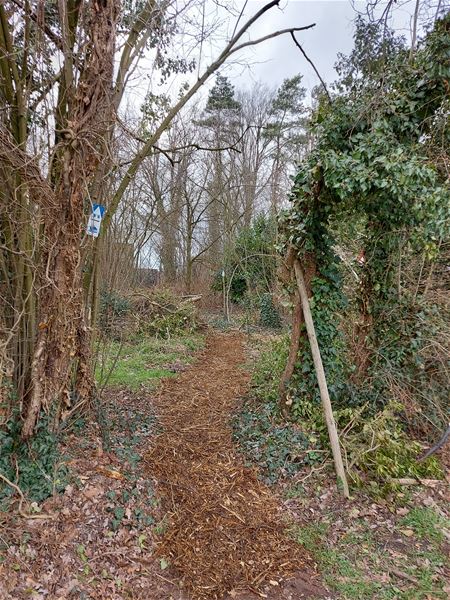 Wandelaars trekken door Sint-Baafsbos