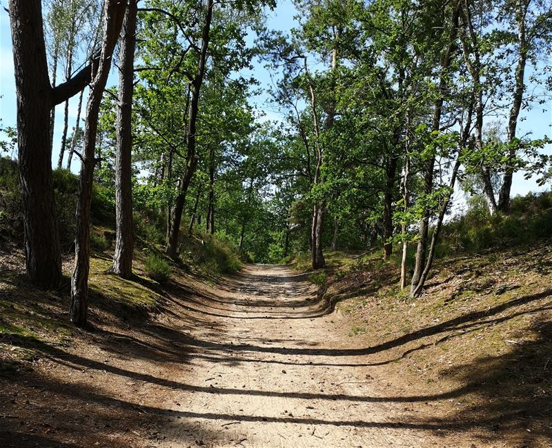 Wandelen in HZ: de Groene Route