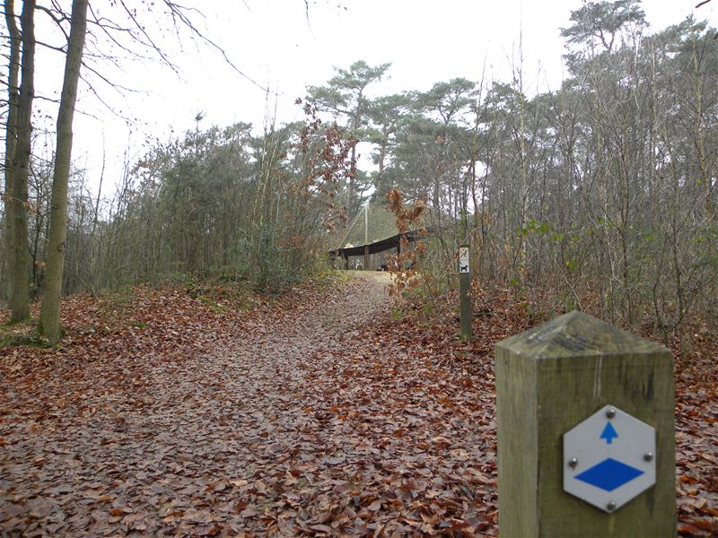 Wandelen in HZ: Eversel-Ubbersel