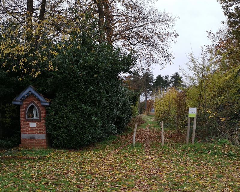 Wandelen in HZ: flaneren in 't Heusdens groen