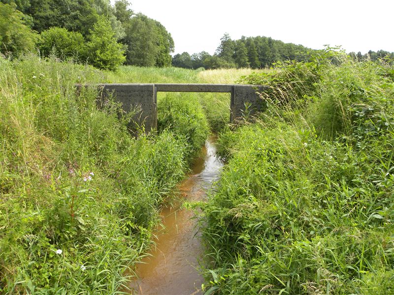 Wandelen in HZ: in het spoor van de Theux