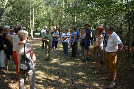 Wandelen langs de Terlaemenvijvers