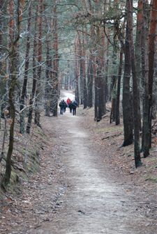 Wandelen naar het sterrenplekje