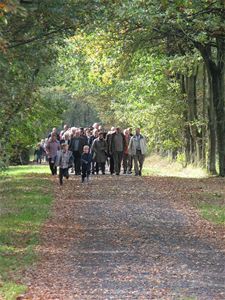 Wandelen op de Bolderberg