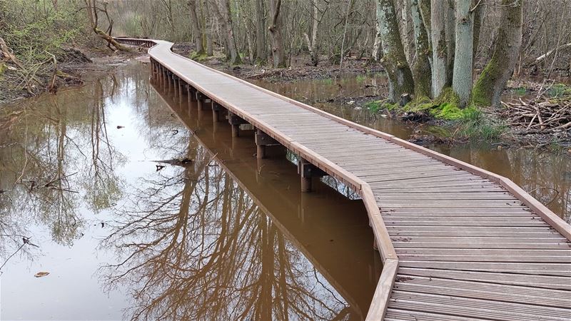 Wandelen over het vlonderpad in de vroege ochtend