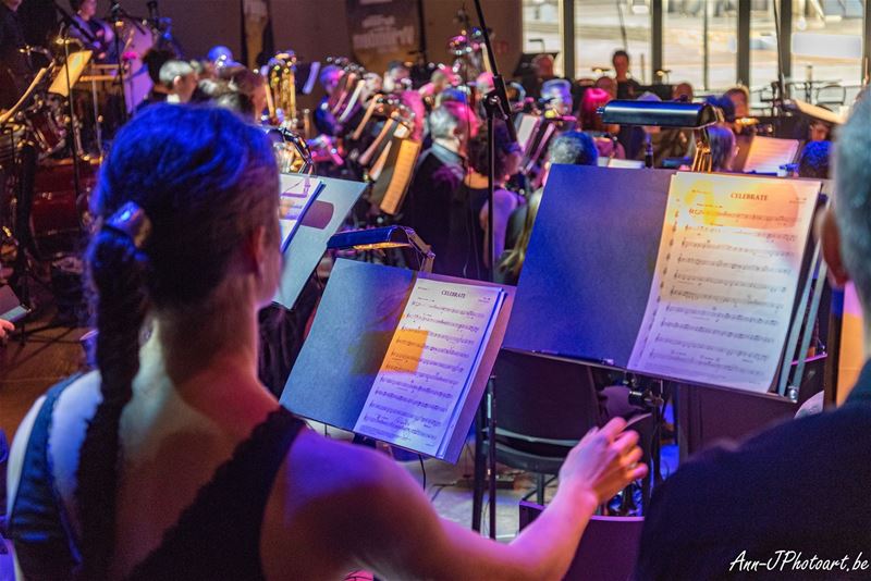 Ware Vrienden brengen zaterdag galaconcert