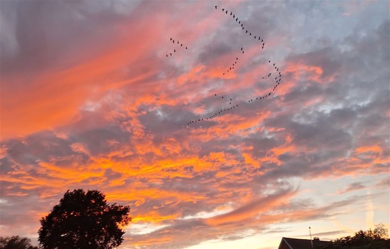 Wat een bijzondere lucht vanavond