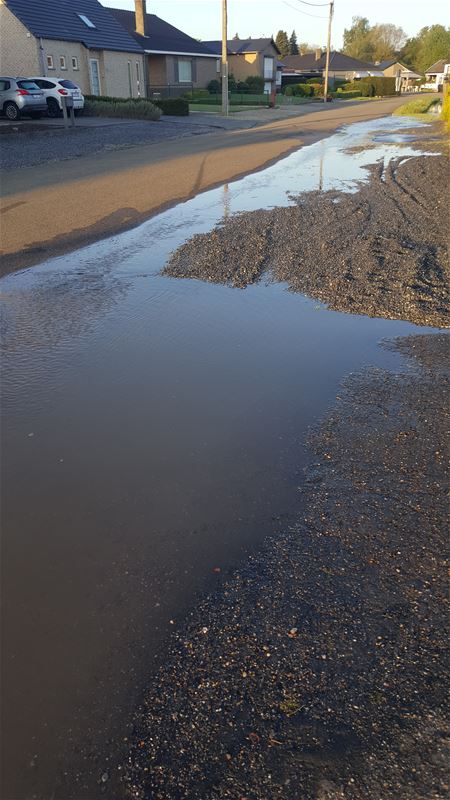Waterlek in 't Wiek