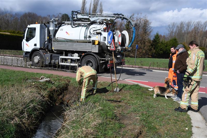 Wateroverlast in de Dikkelstraat