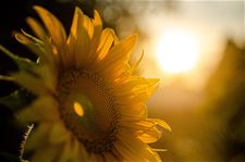 We bleven net onder de 30 graden