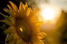 We bleven weer onder de 30 graden