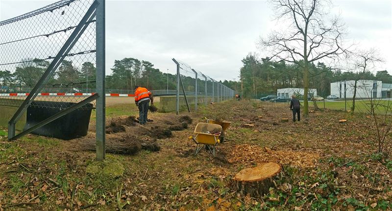 Weer nieuwe planten gezet rond circuit