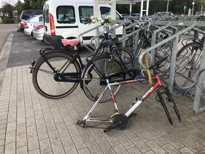 'Weesfietsen' krijgen een nieuw leven