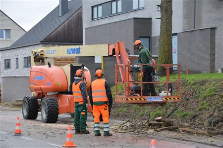 Werken in Dekenstraat zijn gestart