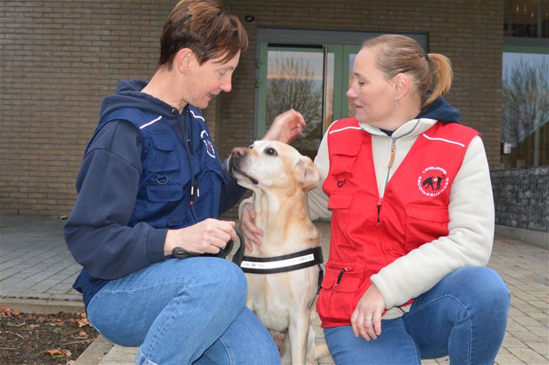 Weyekersgasten op pad met de honden