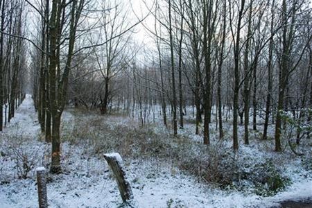 Wie stuurt de mooiste sneeuwfoto?