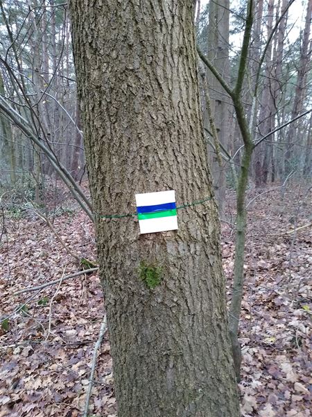 Wie weet hier meer over?