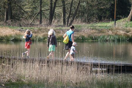 Wijersfeesten: een dag om te beleven