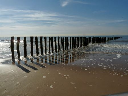 Win heerlijke prijzen met uw vakantiefoto