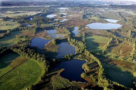 Win spotterskaarten van De Wijers