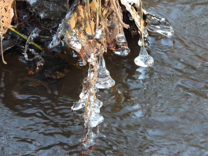 Winter op domein Bovy