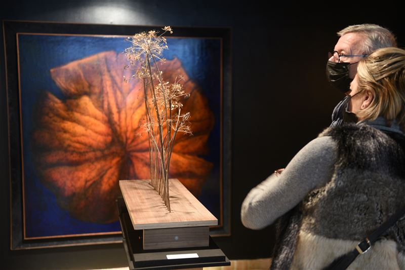 Winterblomme: een verademing in een sombere tijd